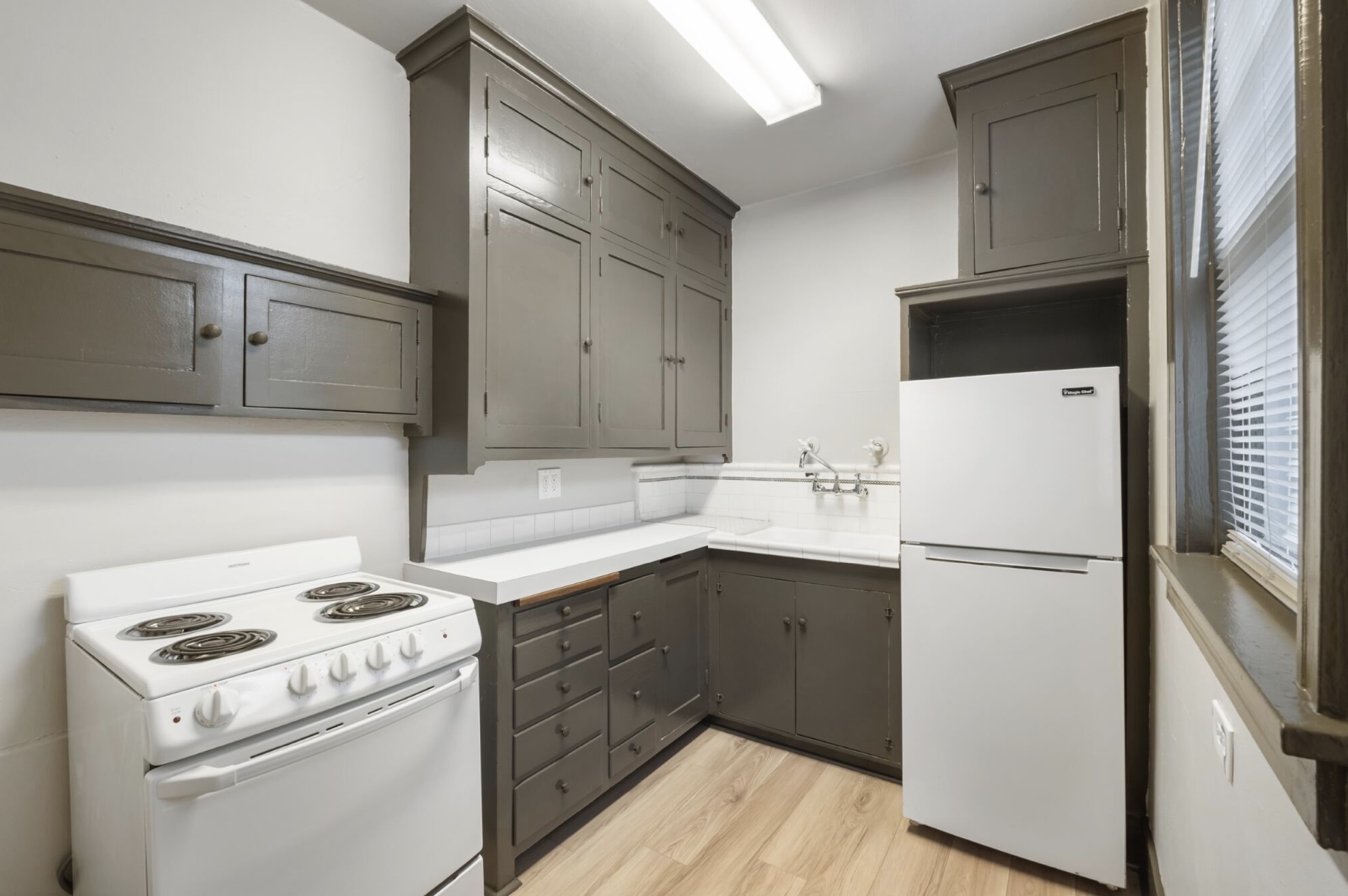 Ambassador Gallery Image